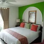 Studio Verde